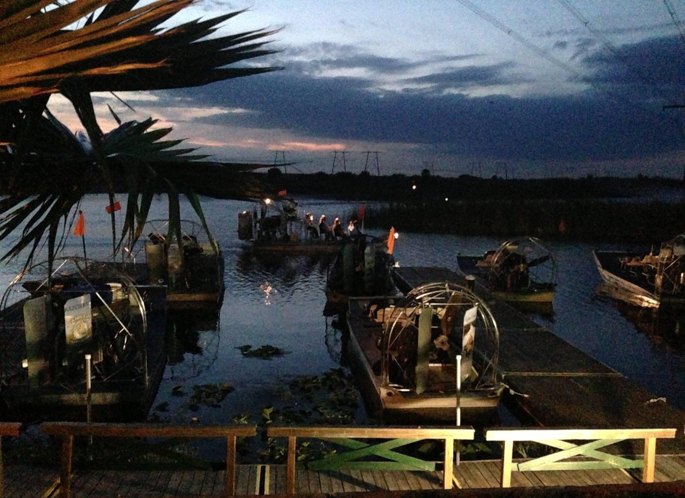 Everglades: 1-times aftentur i airboat