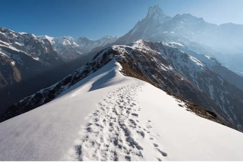 9-Day Mardi Himal Base Camp Trek from Kathmandu