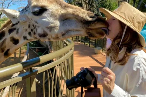 Nairobi: Guided Giraffes Centre & Karen Blixen Museum Tour. Nairobi: Karen Blixen Museum Guided Tour .