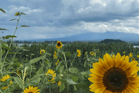 Mount Fuji Full-Day Private Tour from Tokyo (Customizable) Luxury Toyota Crown or SAI