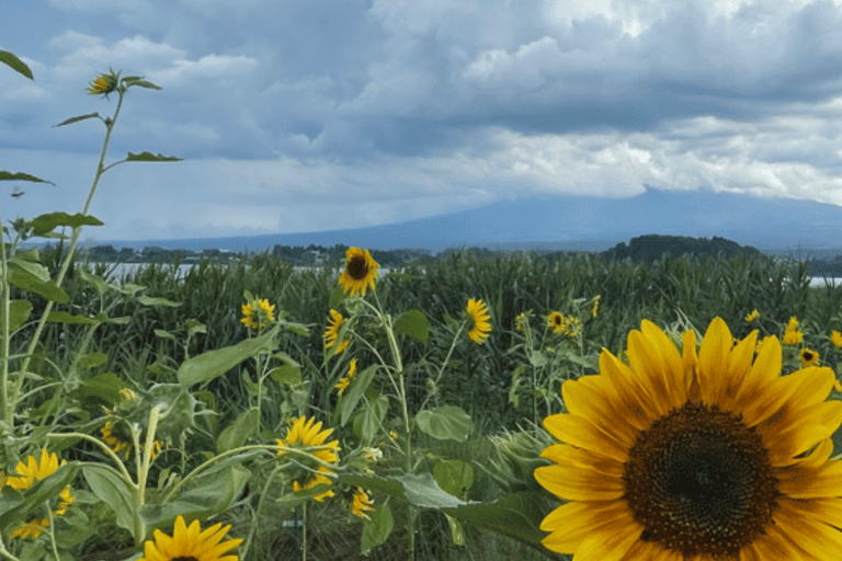 Mount Fuji Full-Day Private Tour from Tokyo (Customizable) Luxury Toyota Crown or SAI