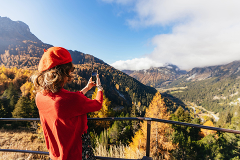 Swiss Alps by Train: Bernina & St. Moritz from Milan Tour with Standard Carriage