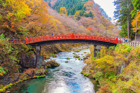 Tokio Nikko Toshogu Schrijn Iroha-zaka Meer Chuzenji DagtourUitgang Shinjuku West