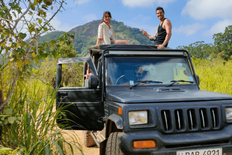 Tour delle rocce di Sigiriya e safari in jeep a Minneriya Sri Lanka