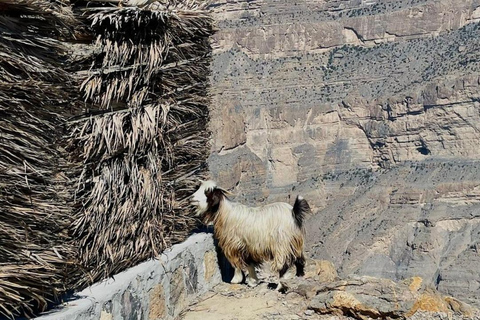 Muscat: Jebel Shams Balcony Walk & Wadi Nakhr Shared Tour