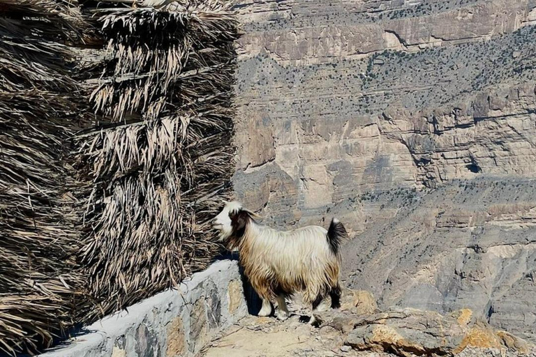 Muscat: Jebel Shams Balcony Walk & Wadi Nakhr Shared Tour