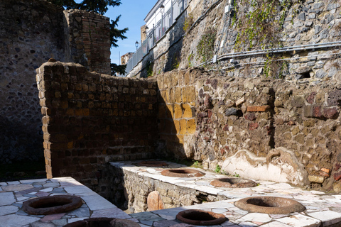 From Sorrento: Pompeii Skip-the-Line, Train Tkt & Tour