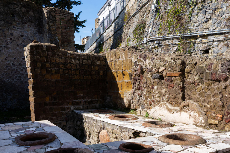 From Sorrento: Pompeii Skip-the-Line, Train Tkt & Tour