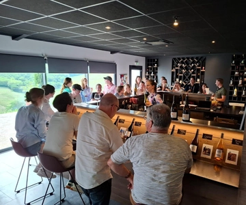 From Lyon: Beaujolais Wine Route Half-Day Tour