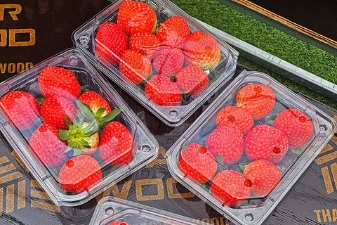 Seoul: Strawberry Picking & Eobi Ice Valley & Nami Island 5. Strawberry Picking & Eobi Ice Valley & Snow Sledding