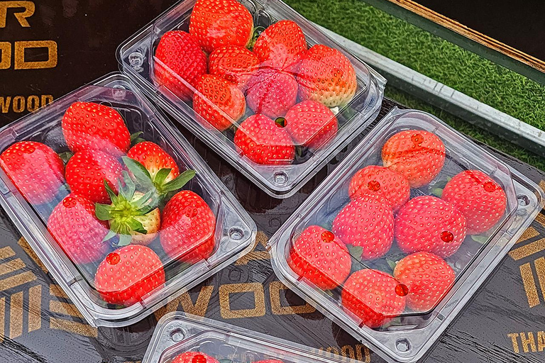 Seoul: Strawberry Picking & Eobi Ice Valley & Nami Island 5. Strawberry Picking & Eobi Ice Valley & Snow Sledding