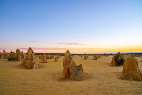 Pinnacles Sunset & Stargazing Private Tour with Lobster Meal