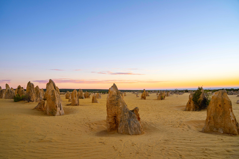 Pinnacles Sunset & Stargazing Private Tour with Lobster Meal