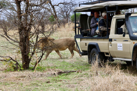 Victoria Falls: Guided Safari in Your Own 4x4 Vehicle
