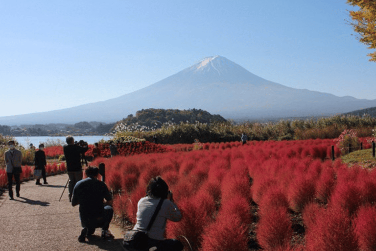 Depuis Tokyo : Excursion privée d&#039;une journée au Mont Fuji et à HakoneVisite en bus partagée du Mont Fuji