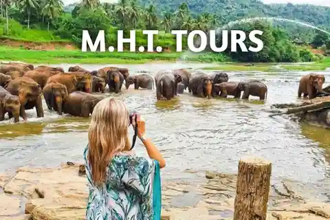 From Kandy: Kandy To Pinnawala Day Tour by Tuk Tuk