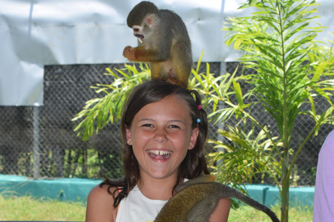 Monkey Tour Interaction and Historic Center (Puerto Plata)