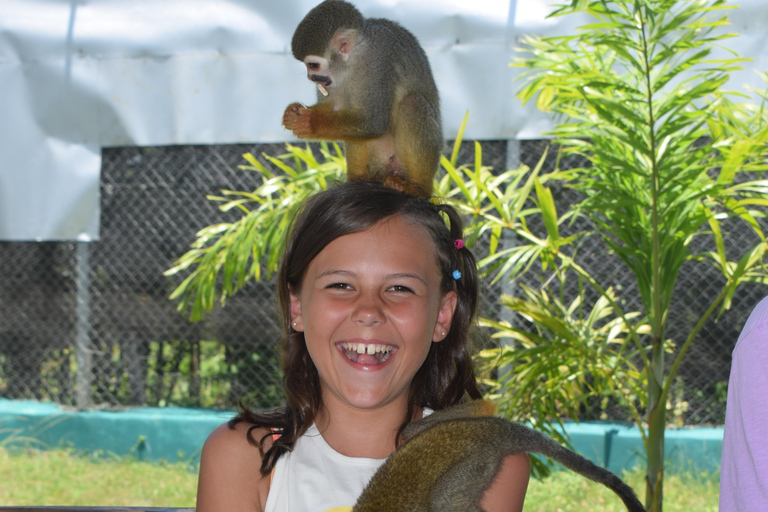 Monkey Tour Interaction and Historic Center (Puerto Plata)