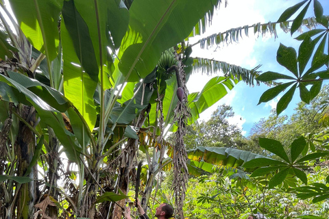 Cusco: 2-Day Coffee & Cacao Farm Stay Experience