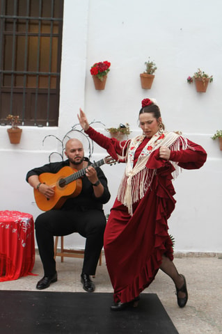 Intimate Flamenco: Exclusive Experience in Sevilla