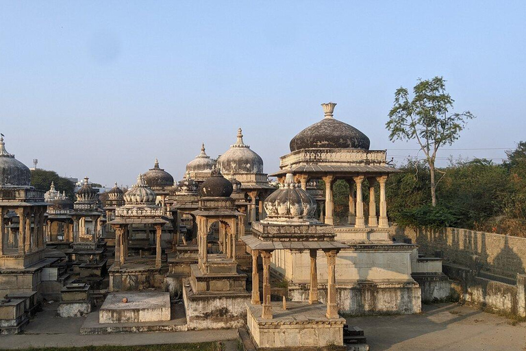 visite privée d'udaipur avec voiture et guide