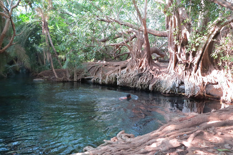 Arusha: Materuni Waterfalls and Chemka Hot Springs