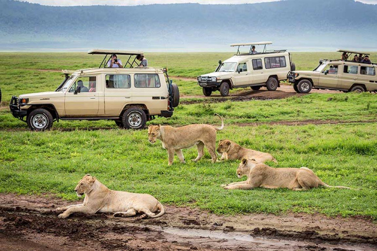 3 Tage Serengeti &amp; Ngorongoro Private Safari