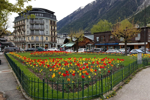 Chamonix: Private Guided Walking Tour