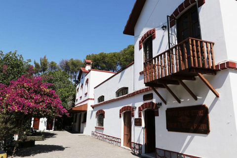 Rhodes: Butterfly Valley and Filerimos Hill Bus Trip