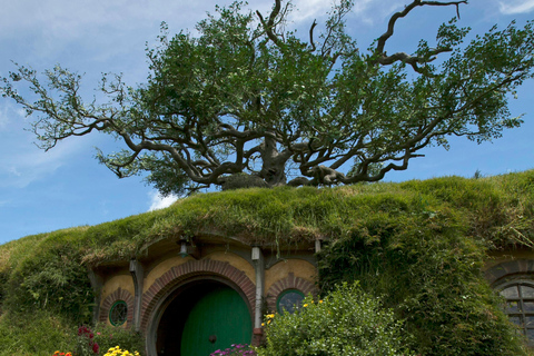 Excursion privée d&#039;une journée à Hobbiton au départ d&#039;Auckland