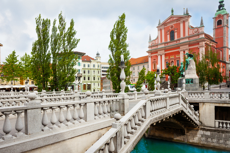 Ljubljana: Private Guided Tour