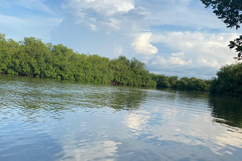 Heerlijk ontspannen aan zee en ecotoer in natuurlijke mangrovebossen