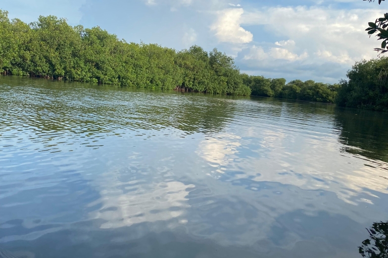 Heerlijk ontspannen aan zee en ecotoer in natuurlijke mangrovebossen