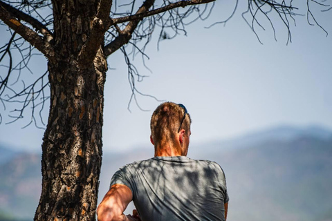 帕福斯半日游（免费品酒）- 最多7人 - 全程空调帕福斯半日游（免费品酒，最多 7 人，全程空调）