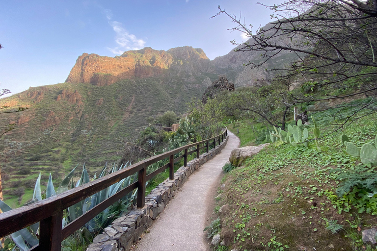 Gran Canaria LET&#039;S GET HIGH!: altitude wines and tapas lunch