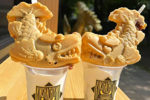 Tour clássico por Nagoya com van particular