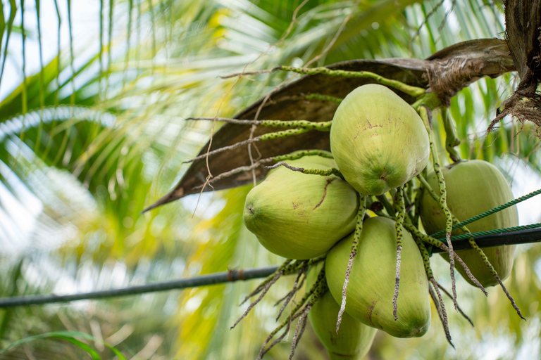 Zanzibar: Jozani Forest, Spice Farm, and Stone Town Tour