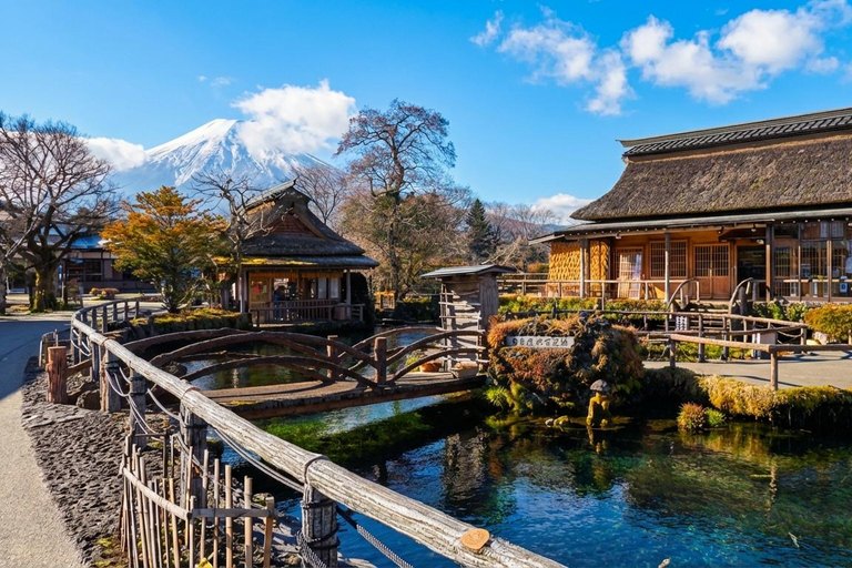 Tokyo: Mt Fuji & Hakone Ropeway, Lake Ashi Cruise,Owakudani Excludes Pirate Ship | Tokyo 7:30AM