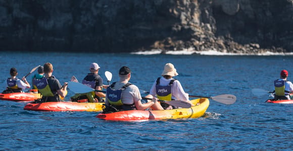 Tenerife: Kayak Safari & Snorkel in a Protected area