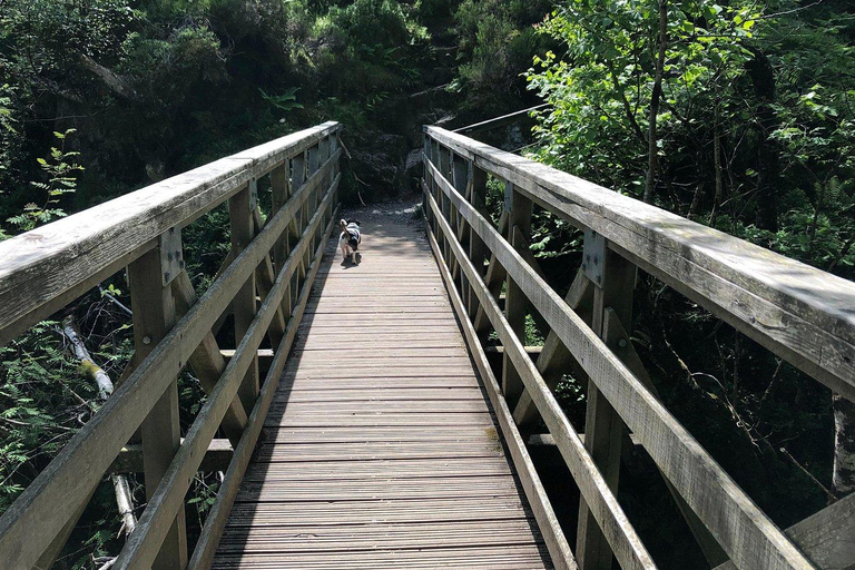 Glencoe: Hidden Valley Guided Hike with Local Guide