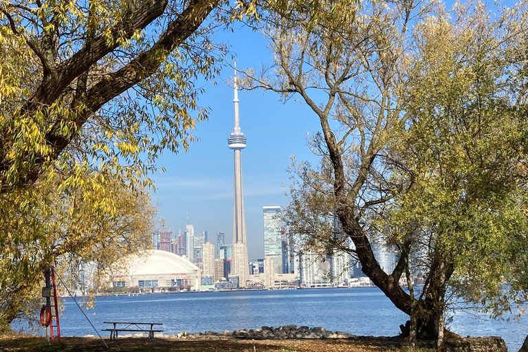 Toronto: Fall Colours Canoe Tour of the Toronto Islands Toronto: Fall Foliage Canoe Tour of the Toronto Islands
