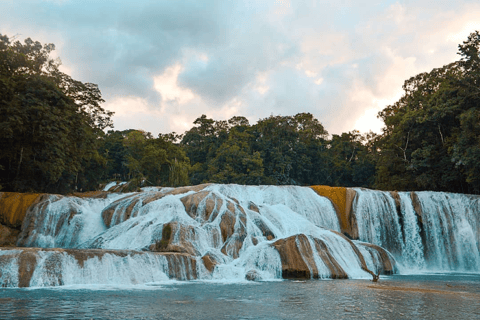 Palenque: Recorrido por la Cascada de Roberto Barrios