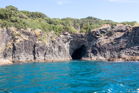 Isola delle capre: Tour in barca con fondo di vetro