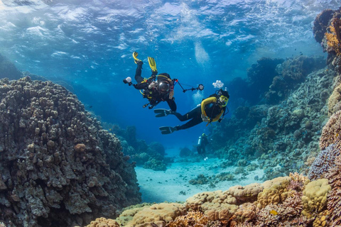 Hurghada: Dive Experience for Beginners or Certified Divers Full-Day Scuba Diving for Certified Divers