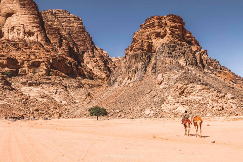 Amman: Petra, Wadi Rum, and Dead Sea 2-Day Self-Drive Tour 2-Day Self-Drive Tour Deluxe Tent
