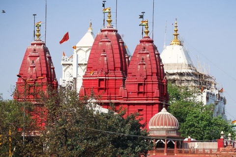New Delhi: Geführte Tour zu den Glaubensrichtungen der indischen Kultur