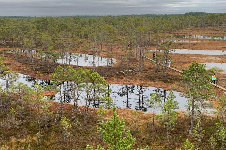 Nord de l'Estonie : circuit nature et mystère
