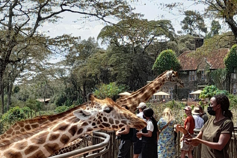 nationaal park david sheldrick giraffencentrum kazuri kralen