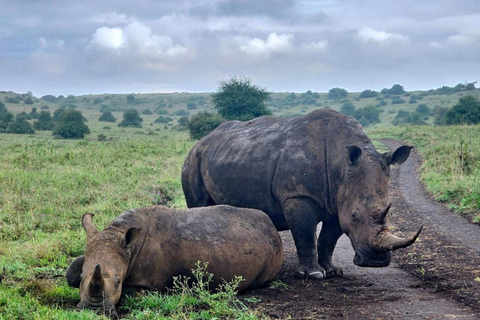 4 of the Big 5 Nairobi National Park Game Drive Nairobi National Park Half-day Game Drive