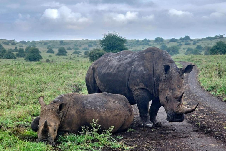 4 of the Big 5 Nairobi National Park Game Drive Nairobi National Park Half-day Game Drive